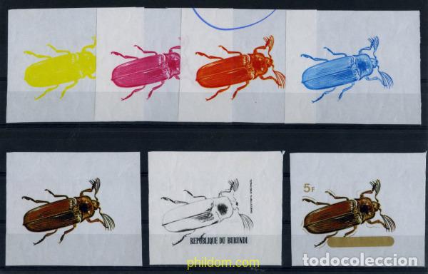 Sellos: 202247 MNH BURUNDI 1970 COLEOPTEROS