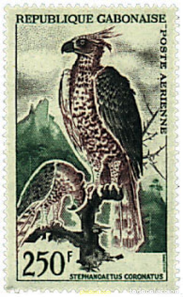 Sellos: 41132 MNH GABON 1964 AVE