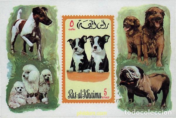 Sellos: 49693 MNH RAS AL KHAIMA 1971 PERROS DE RAZA