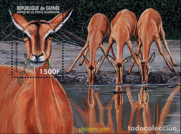 Sellos: 323724 MNH GUINEA 1998 FAUNA EN PELIGRO DE EXTINCION