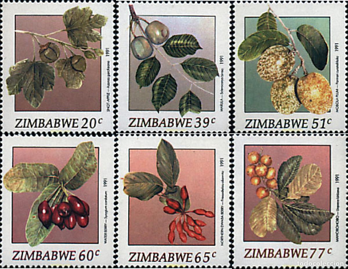 Sellos: 34222 MNH ZIMBABUE 1991 FRUTOS