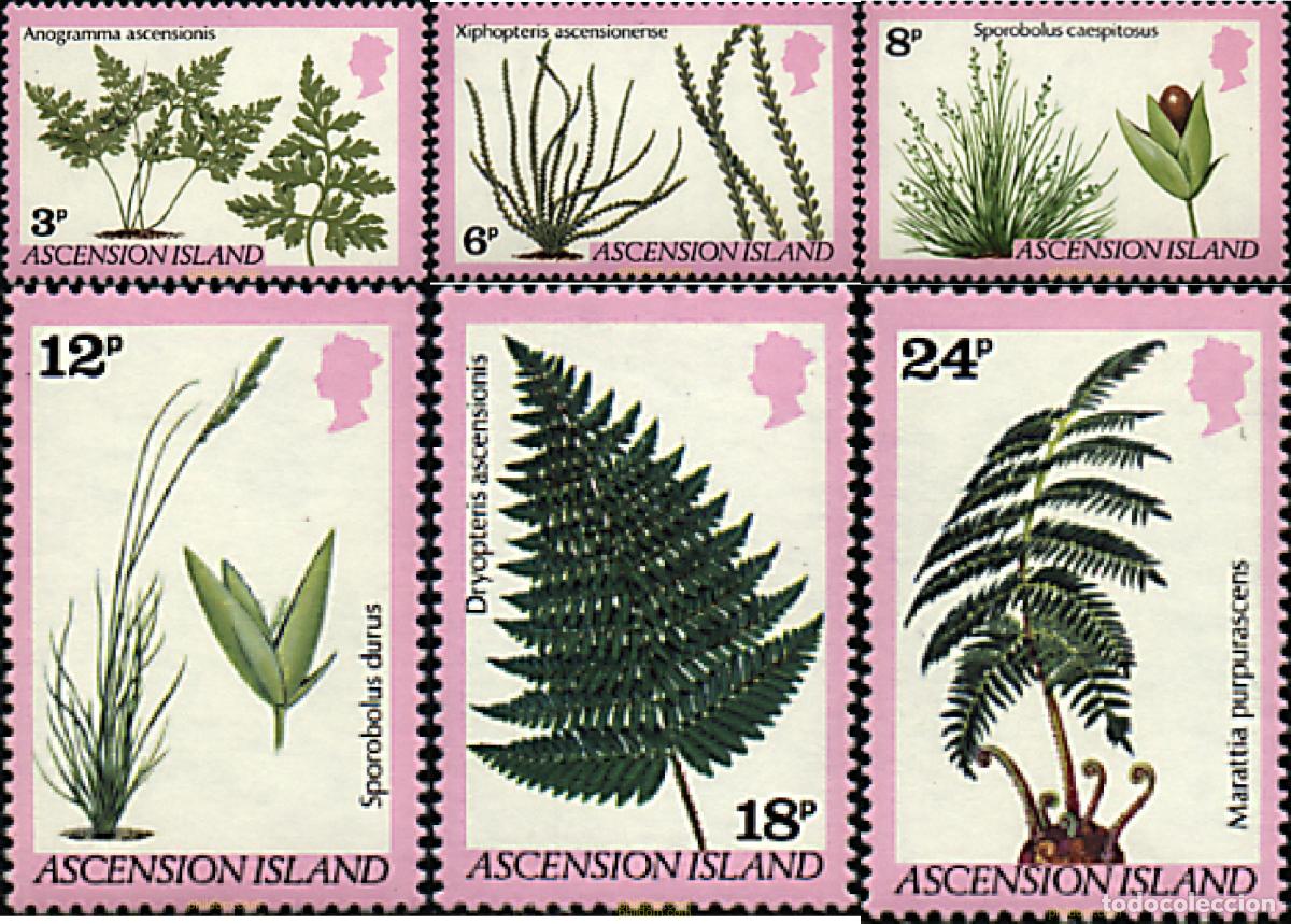 Sellos: 195096 MNH ASCENSION 1980 FLORA