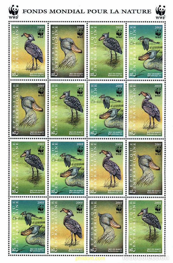 Sellos: 12696 MNH CENTROAFRICANA 1999 PICOZAPATO