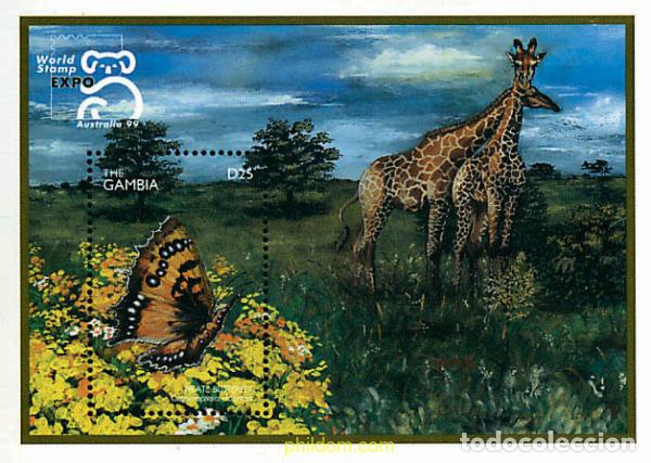 Sellos: 211144 MNH GAMBIA 1999 MARIPOSAS DE AFRICA
