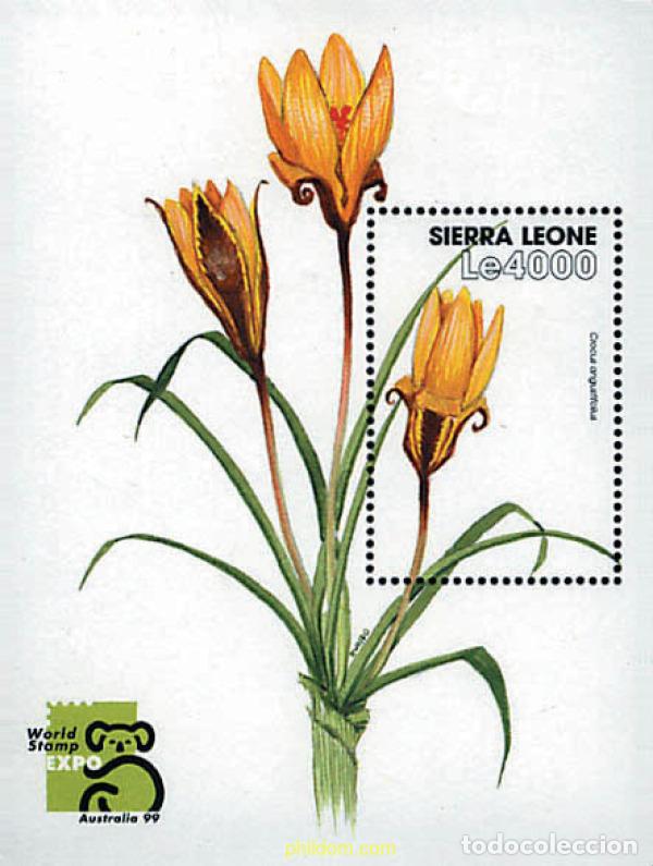 Sellos: 362301 MNH SIERRA LEONA 1999 AUSTRALIA 99. EXPOSICION FILATELICA INTERNACIONAL