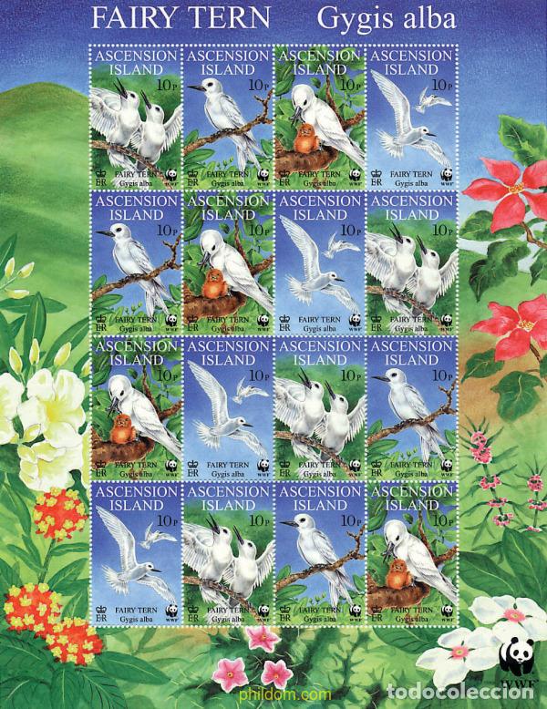 Sellos: 12694 MNH ASCENSION 1999 CHARRAN BLANCO