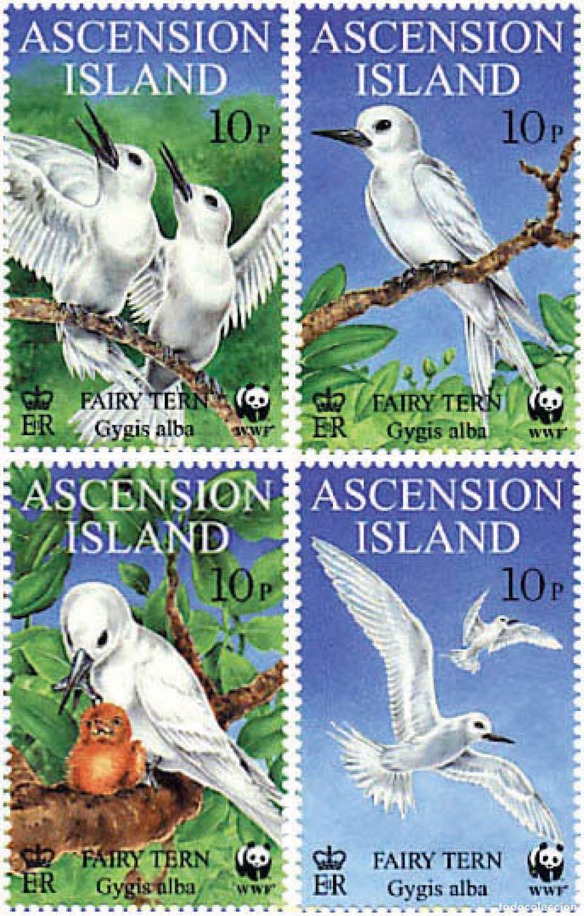 Sellos: 74199 MNH ASCENSION 1999 CHARRAN BLANCO
