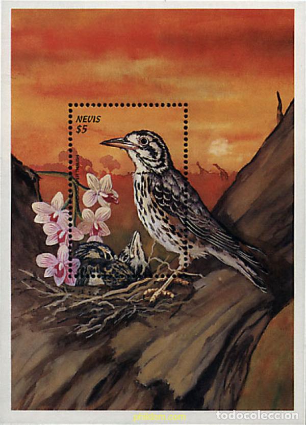 Sellos: 256263 MNH NEVIS 1999 PAJAROS DEL CARIBE