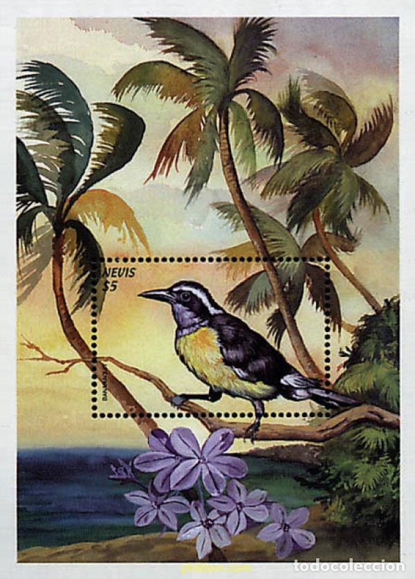 Sellos: 347556 MNH NEVIS 1999 PAJAROS DEL CARIBE