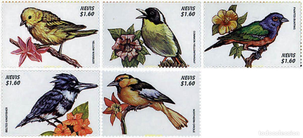Sellos: 580072 MNH NEVIS 1999 PAJAROS DEL CARIBE