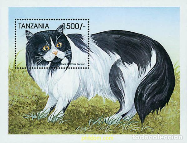 Sellos: 365391 MNH TANZANIA 1999 GATOS DEL MUNDO
