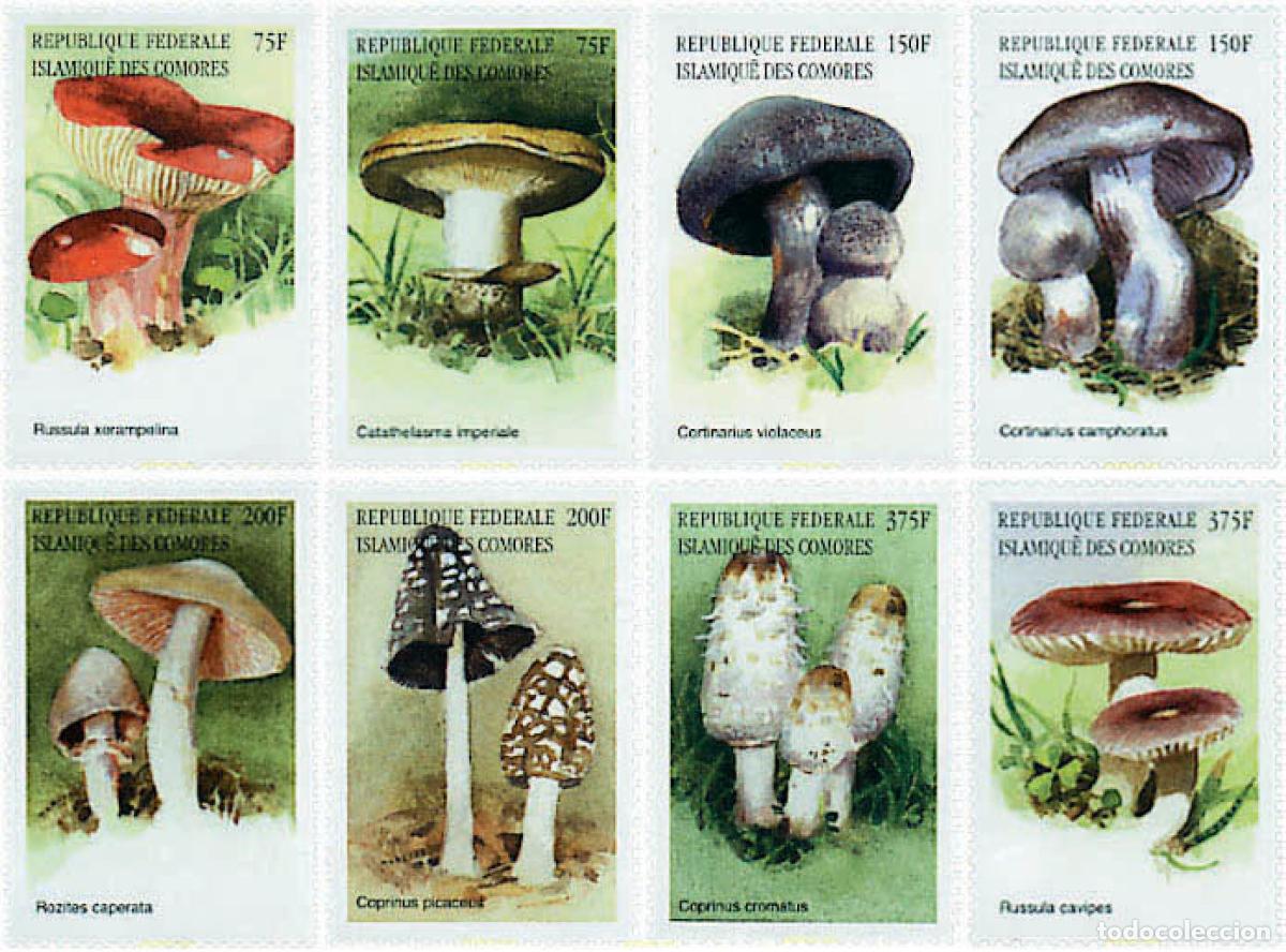 Sellos: 97001 MNH COMORES 1999 SETAS