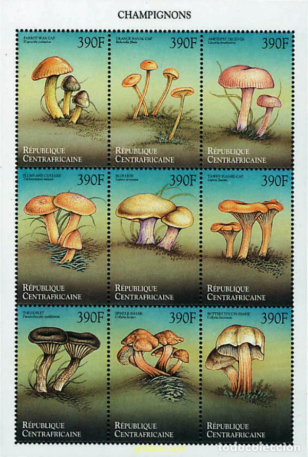 Sellos: 290298 MNH CENTROAFRICANA 1999 SETAS