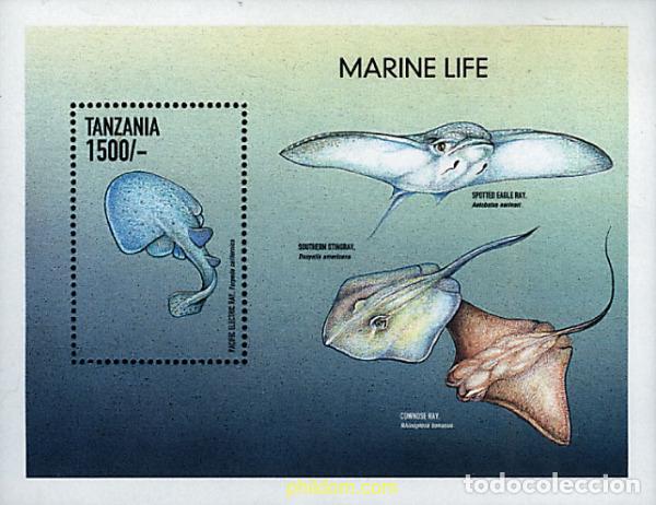 Sellos: 365377 MNH TANZANIA 1999 FAUNA MARINA