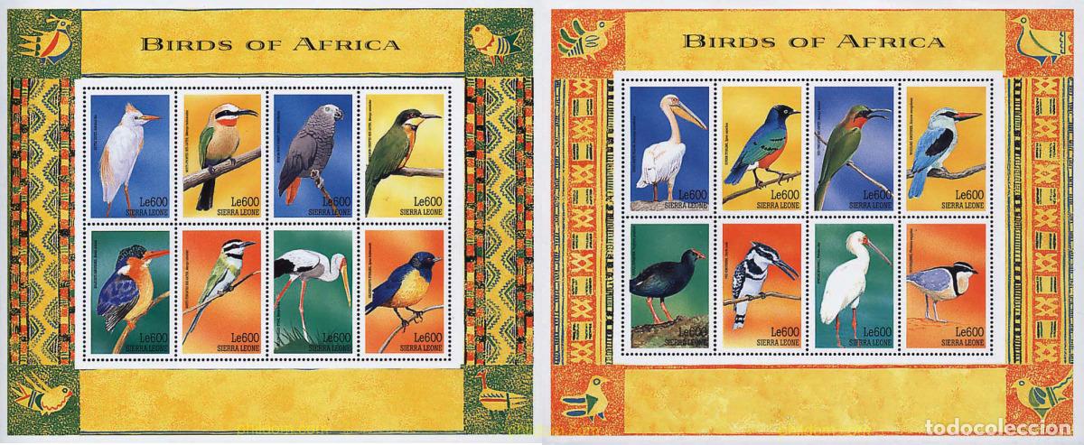 Sellos: 240816 MNH SIERRA LEONA 1999 PAJAROS DE AFRICA