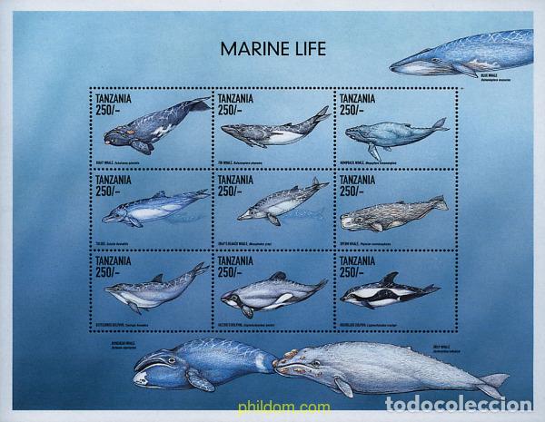 Sellos: 296760 MNH TANZANIA 1999 FAUNA MARINA ABISAL