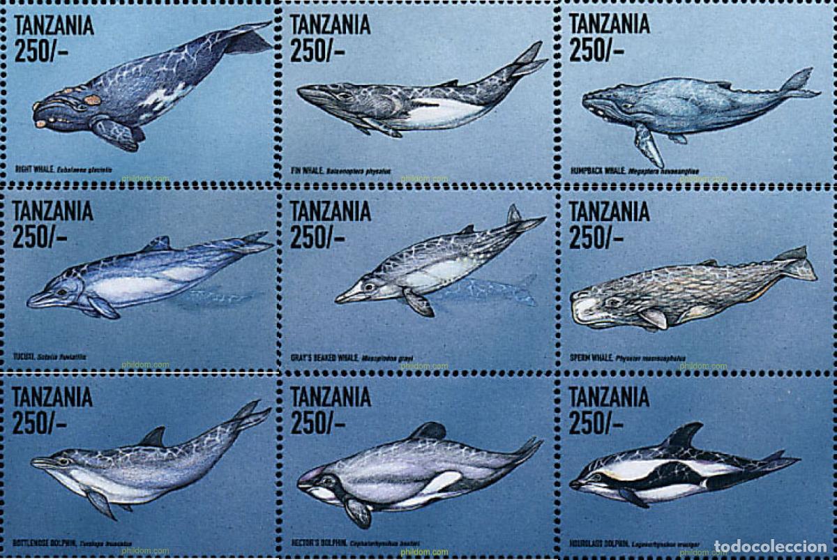 Sellos: 296761 MNH TANZANIA 1999 FAUNA MARINA ABISAL
