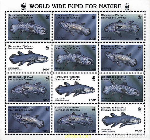 Sellos: 12742 MNH COMORES 1998 CELACANTO