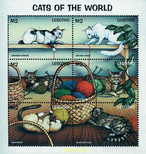 Sellos: 607594 MNH LESOTHO 1998 GATOS DEL MUNDO