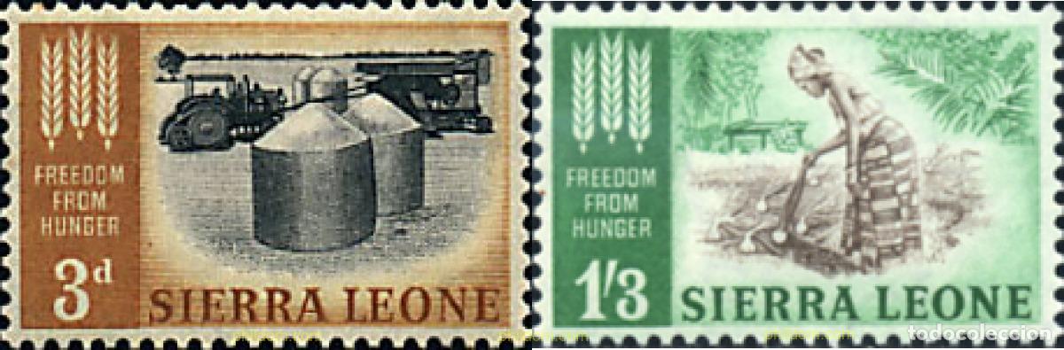 Sellos: 43465 MNH SIERRA LEONA 1963 CAMPA&Ntilde;A MUNDIAL CONTRA EL HAMBRE