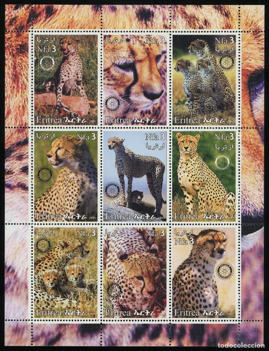 Timbres: ERITREA 2003 SHEET MNH ROTARY FAUNA MAMIFEROS GUEPARDS GUEPARDOS WILD CATS FELINES FELINOS WILDLIFE