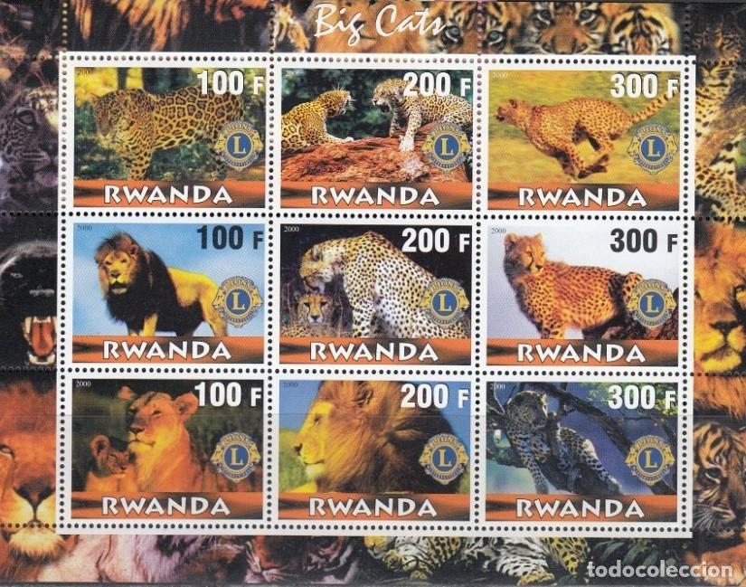 Sellos: RWANDA 2000 SHEET MNH FAUNA MAMIFEROS LIONS CLUB LEONES LEOPARDOS GUEPARDOS FELINOS FELINES WILDCATS