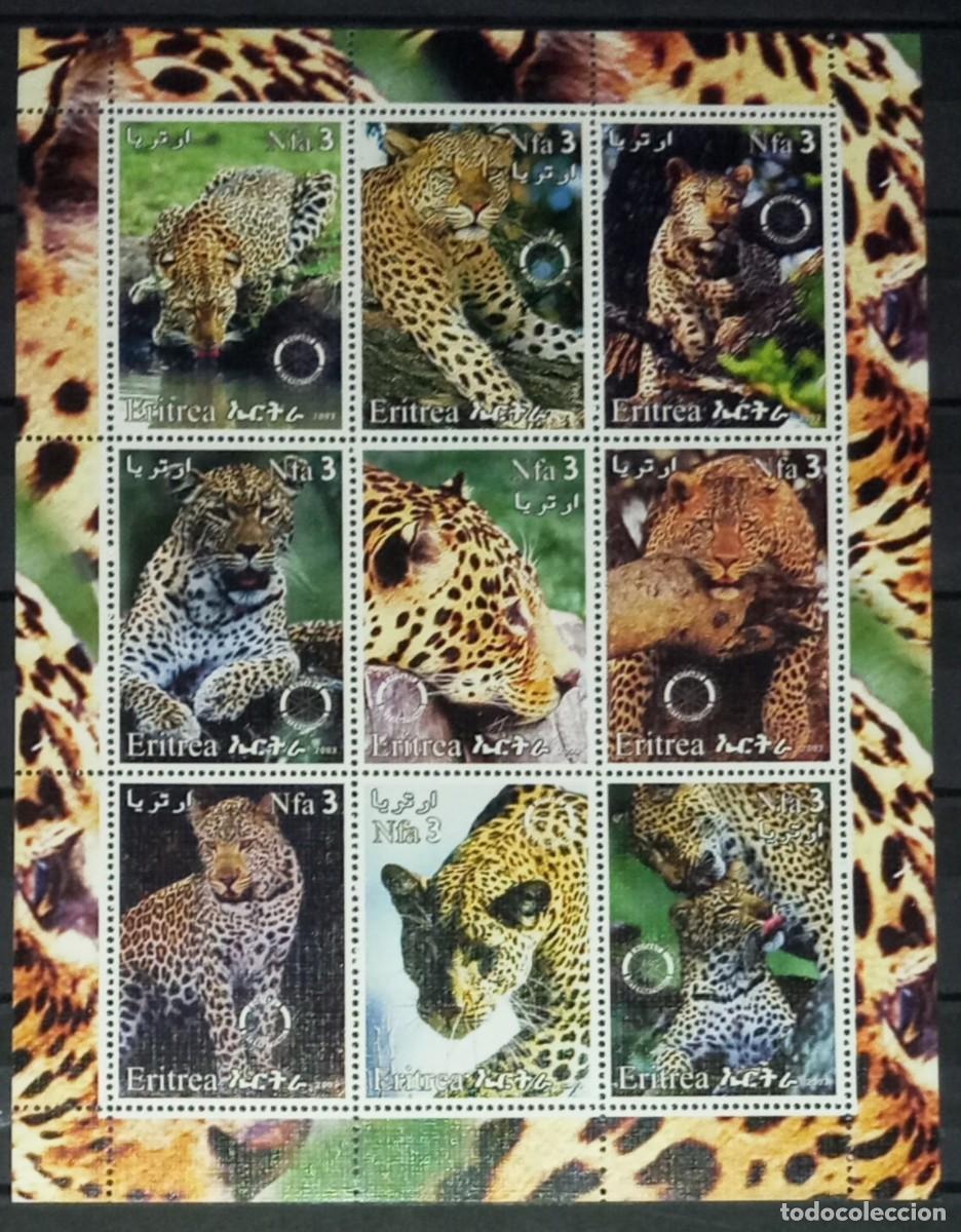 Sellos: ERITREA 2003 SHEET MNH ROTARY FAUNA MAMIFEROS LEOPARDOS LEOPARDS LEOPARDEN FELINES FELINOS WILDLIFE