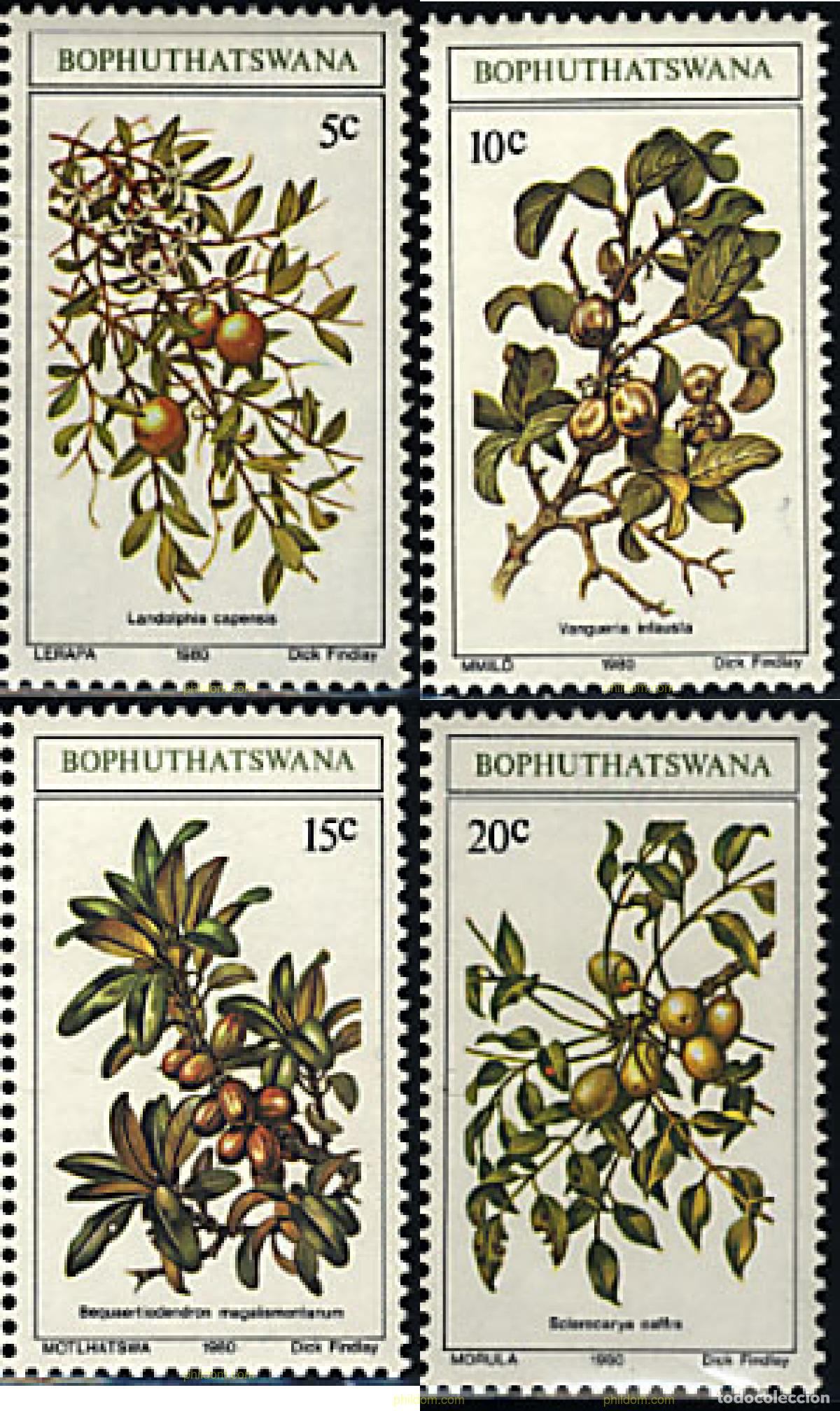Sellos: 196486 MNH BOPHUTHATSWANA 1980 FLORA