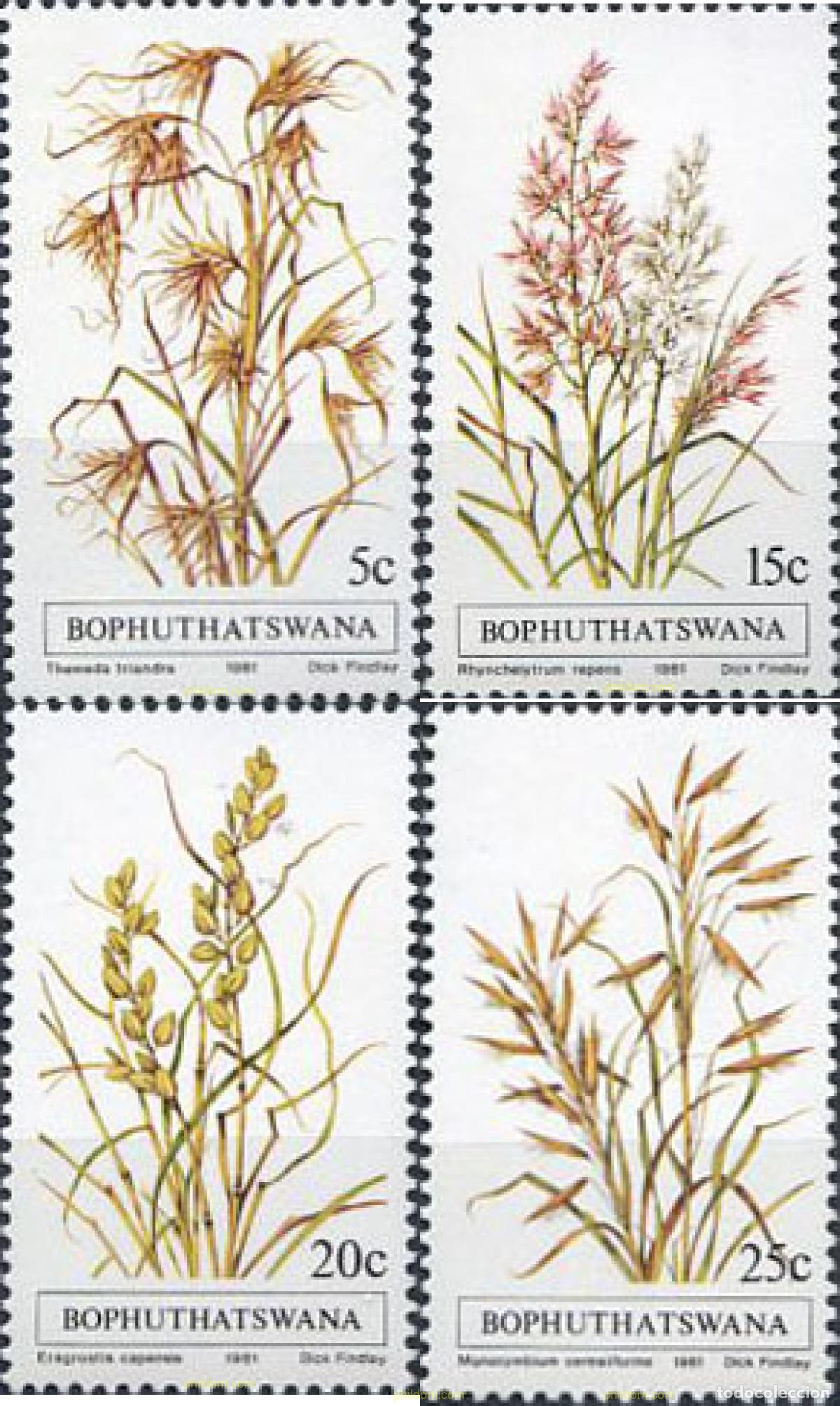 Sellos: 220210 MNH BOPHUTHATSWANA 1981 HIERBAS INDIGENAS