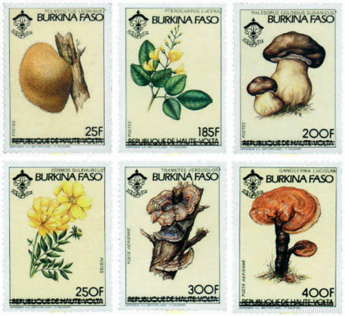 Sellos: 98275 MNH BURKINA FASO 1985 SETAS Y FLORES