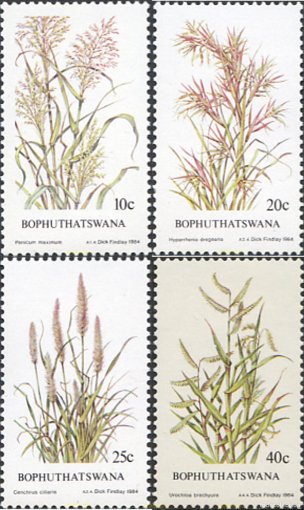 Sellos: 231208 MNH BOPHUTHATSWANA 1984 HIERBAS INDIGENAS