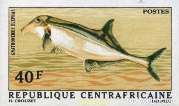 Francobolli: 207098 MNH CENTROAFRICANA 1971 PECES TROPICALES