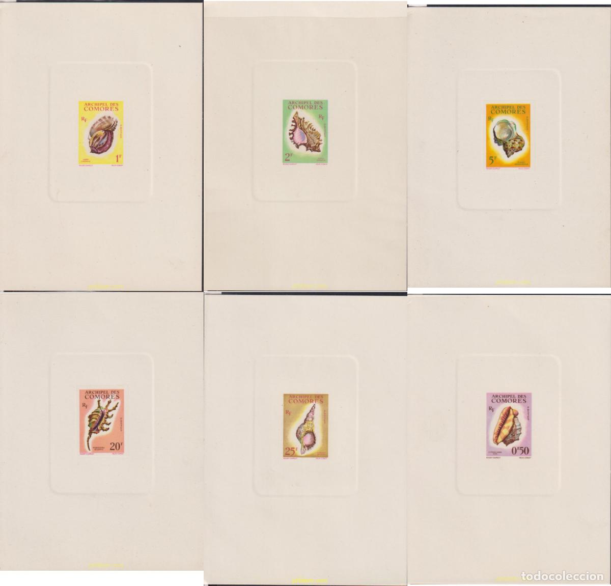 Francobolli: 627306 MNH COMORES 1962 CONCHAS