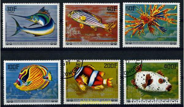 Sellos: 207090 USED COMORES 1977 PECES DEL OCEANO INDICO