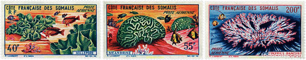 Sellos: 593840 MNH COSTA DE LOS SOMALIS 1963 FLORA Y FAUNA