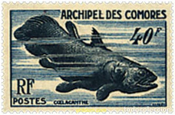 Sellos: 207087 MNH COMORES 1950 MOTIVOS VARIOS