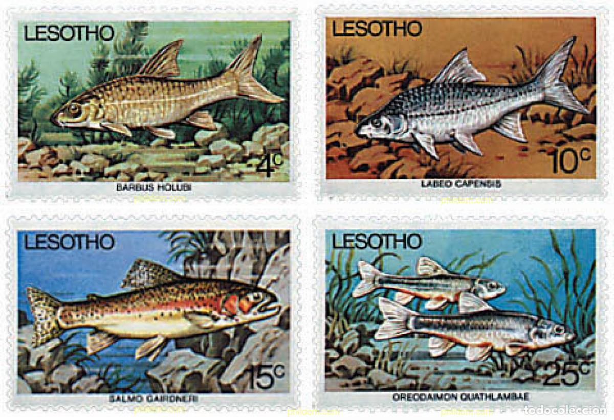 Sellos: 28413 MNH LESOTHO 1977 PECES