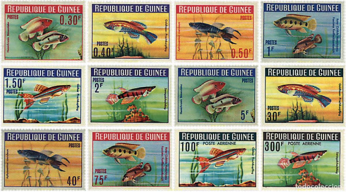 Sellos: 68047 MNH GUINEA 1964 PECES