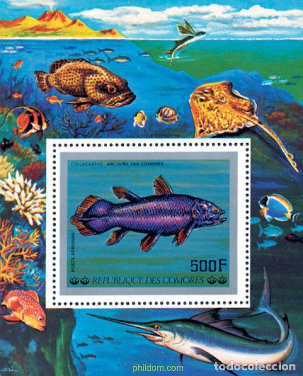Sellos: 73036 MNH COMORES 1977 PECES DEL OCEANO INDICO