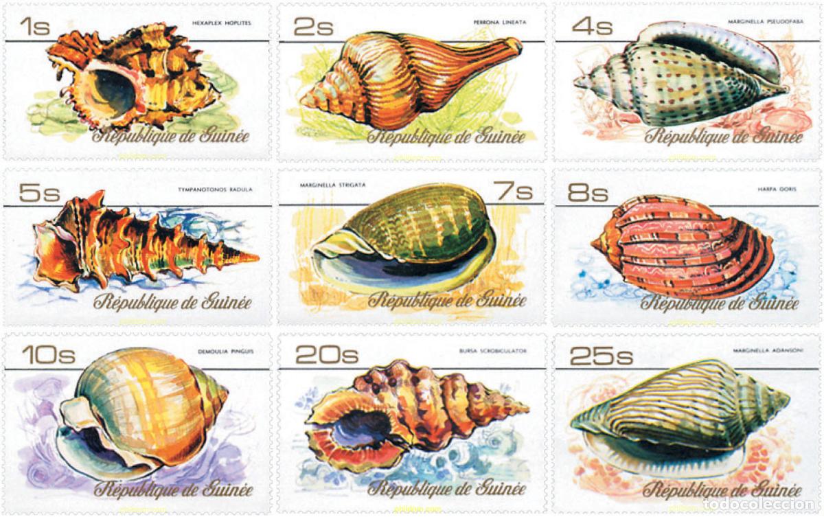 Sellos: 71753 MNH GUINEA 1977 CONCHAS
