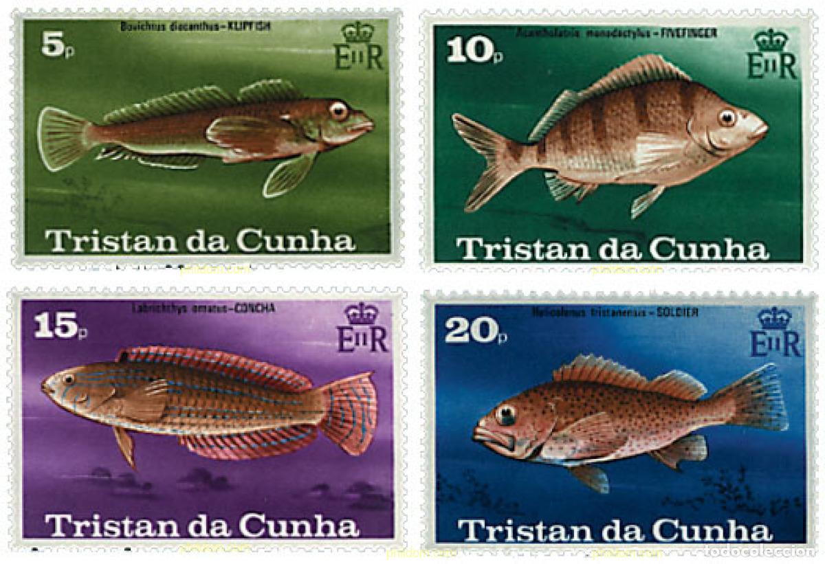 Sellos: 42771 MNH TRISTAN DA CUNHA 1978 PECES