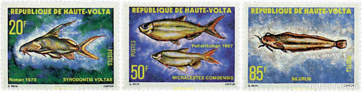 Sellos: 28487 MNH ALTO VOLTA 1979 PECES DE AGUA DULCE