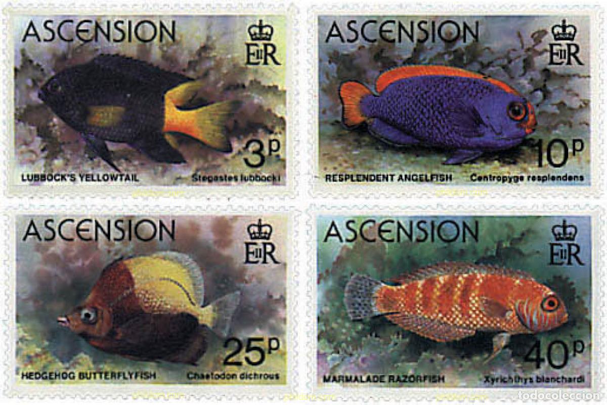 Sellos: 72658 MNH ASCENSION 1980 PECES