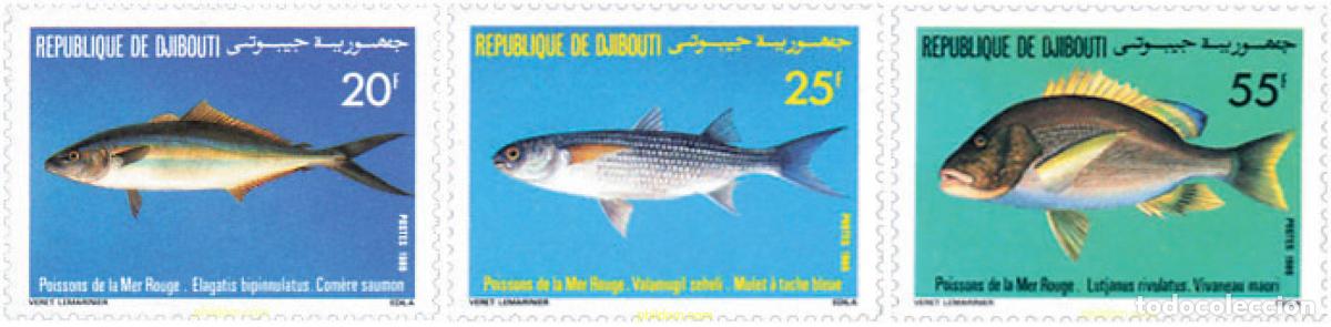 Sellos: 70615 MNH DJIBOUTI 1986 PECES