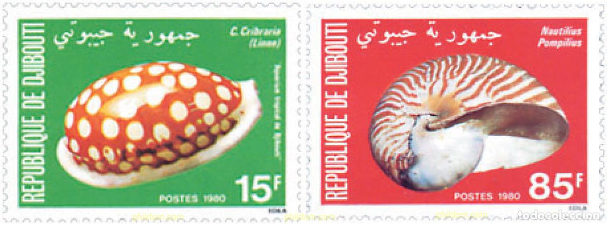 Sellos: 69764 MNH DJIBOUTI 1980 CONCHAS