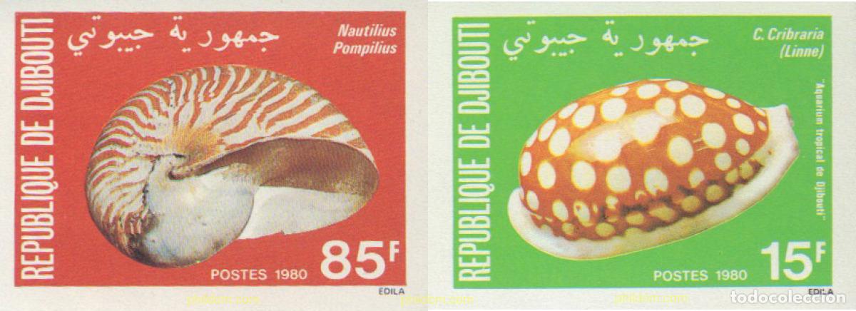 Sellos: 600634 MNH DJIBOUTI 1980 CONCHAS
