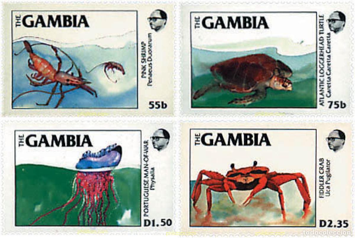 Sellos: 73843 MNH GAMBIA 1984 FAUNA MARINA