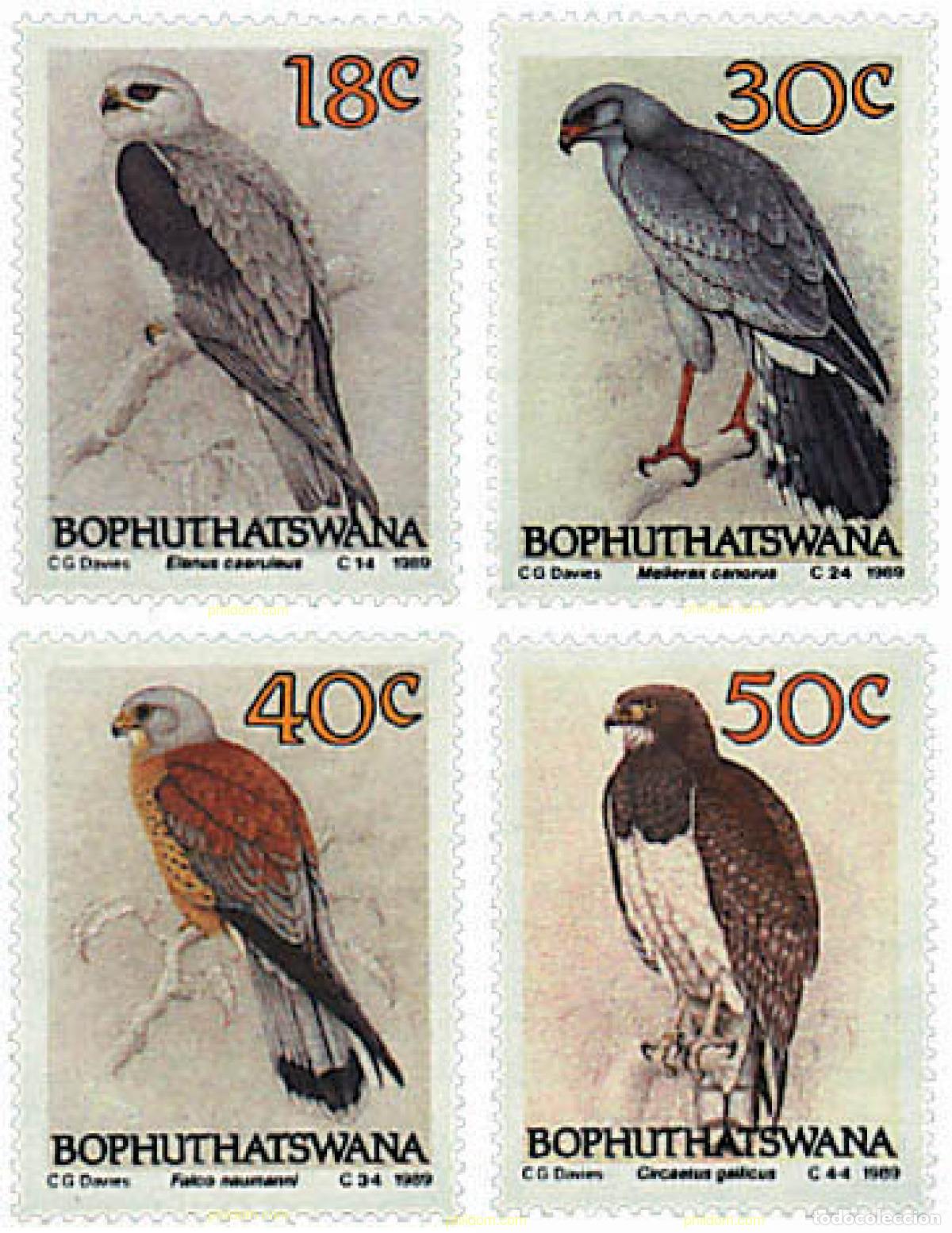Sellos: 33715 MNH BOPHUTHATSWANA 1989 AVES DE PRESA