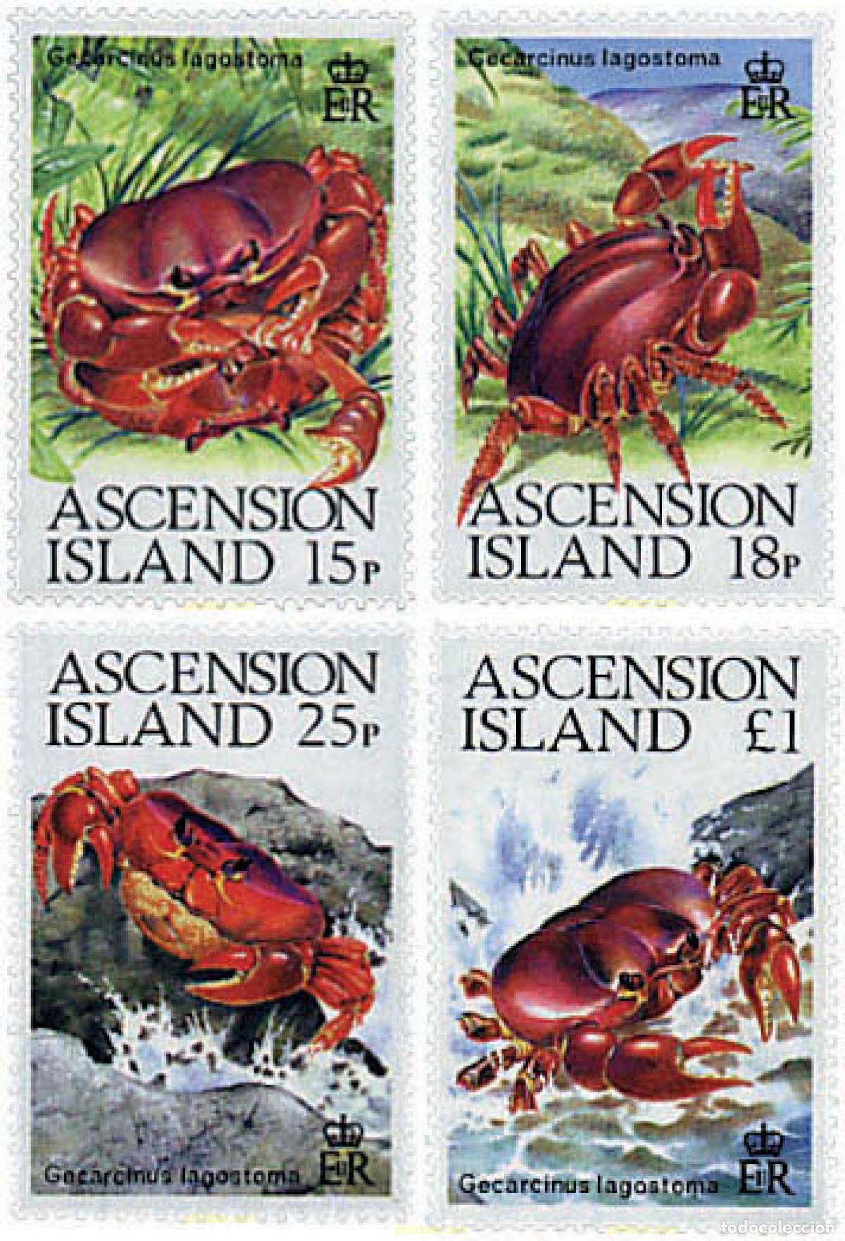 Sellos: 72671 MNH ASCENSION 1989 FAUNA MARINA