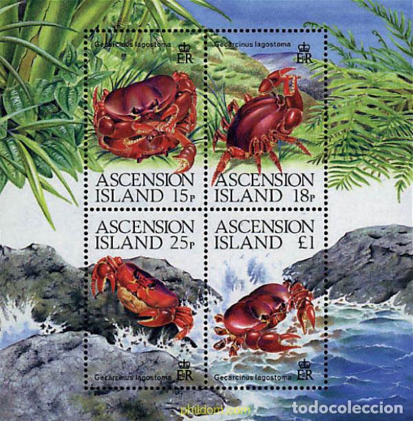 Sellos: 72668 MNH ASCENSION 1989 FAUNA MARINA
